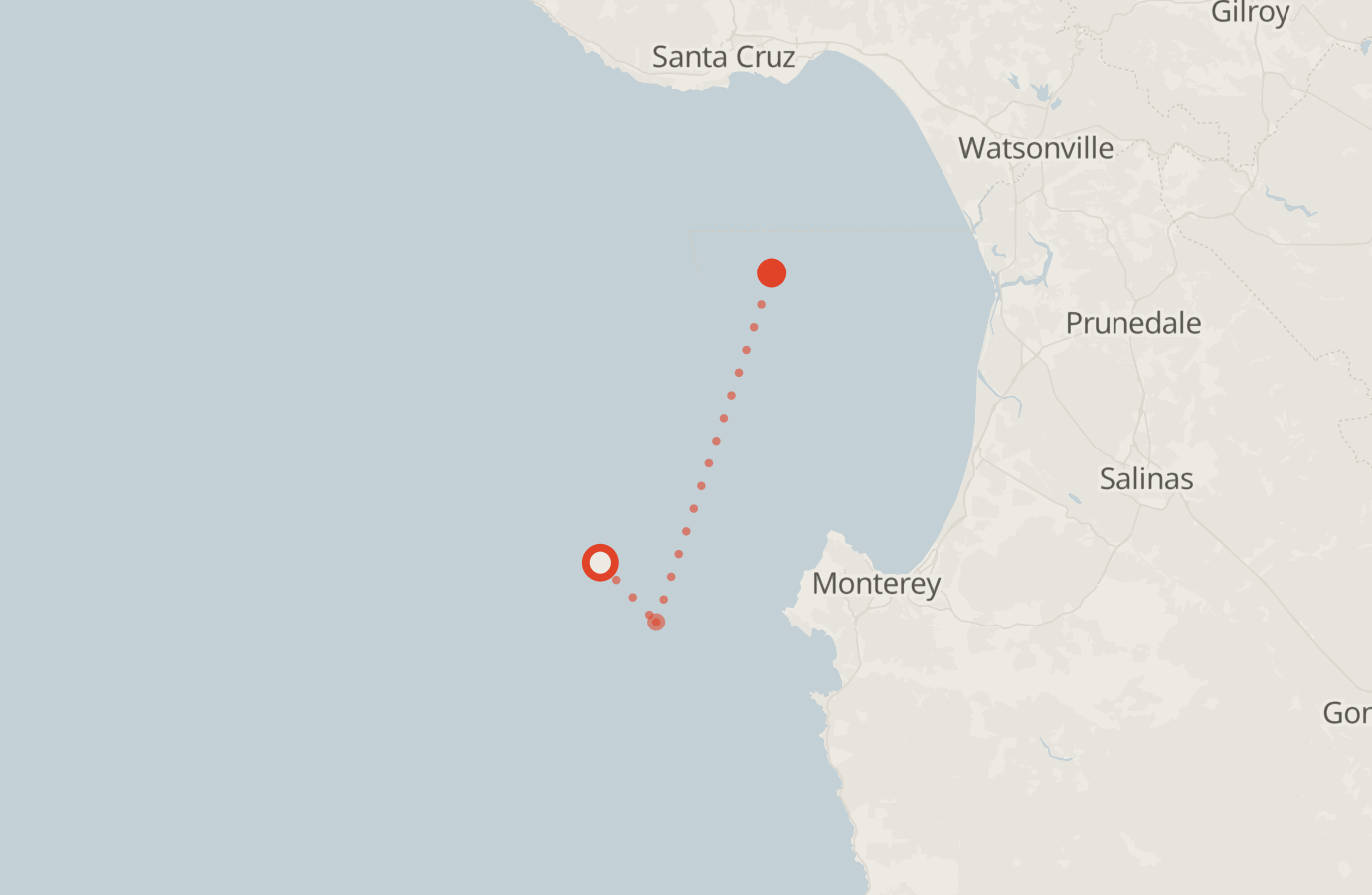 Activity map — real sighting points on an OpenStreetMap basemap