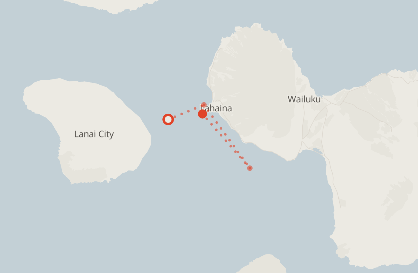 Activity map — real sighting points on an OpenStreetMap basemap