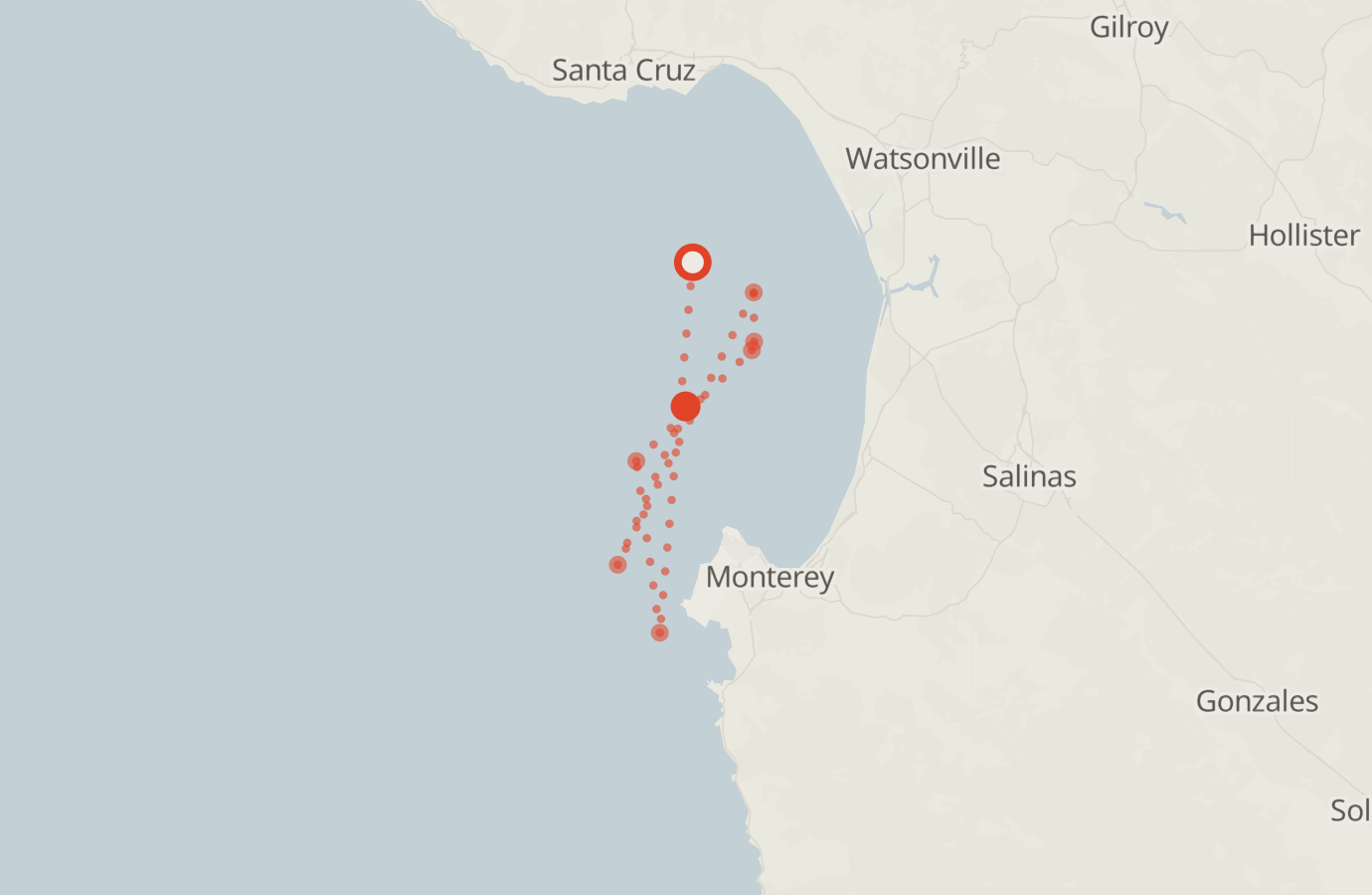 Activity map — real sighting points on an OpenStreetMap basemap