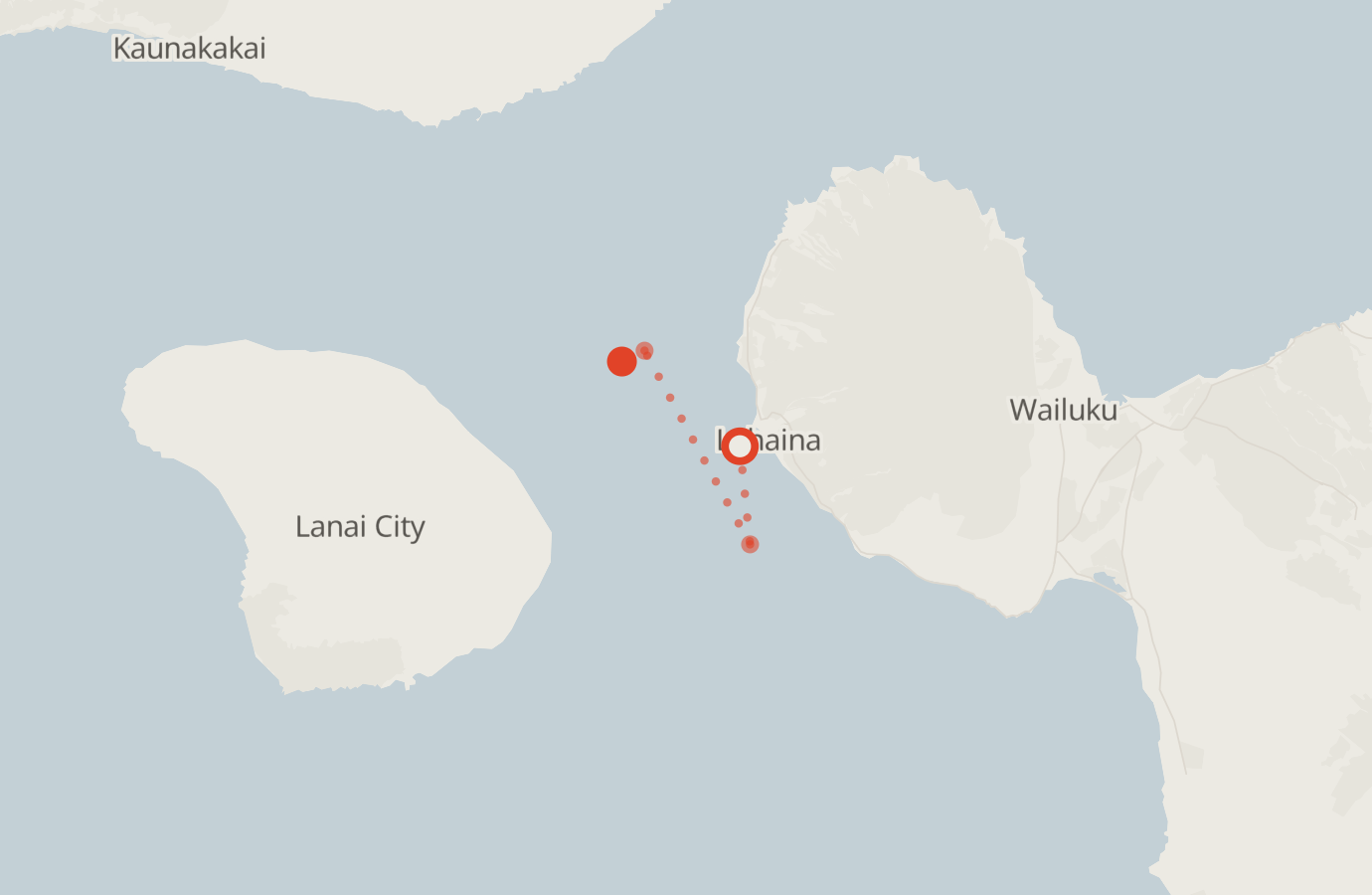 Activity map — real sighting points on an OpenStreetMap basemap