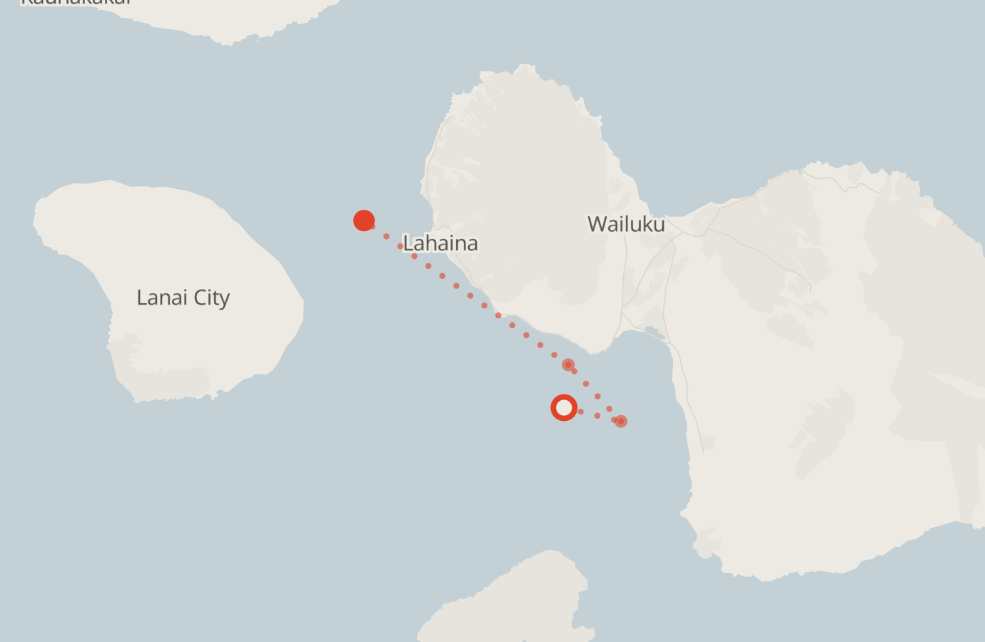Activity map — real sighting points on an OpenStreetMap basemap