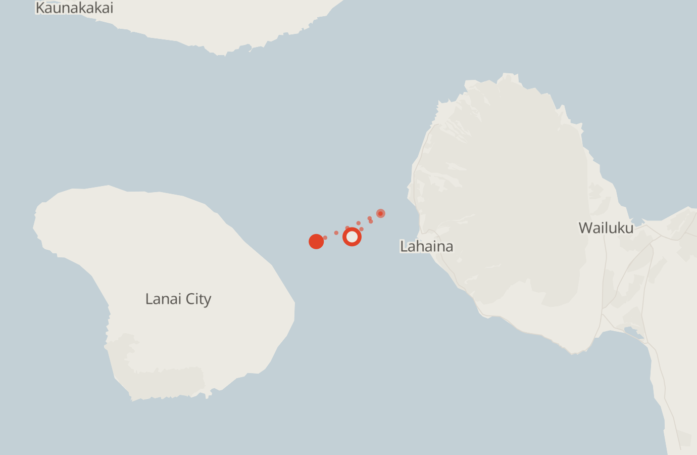 Activity map — real sighting points on an OpenStreetMap basemap