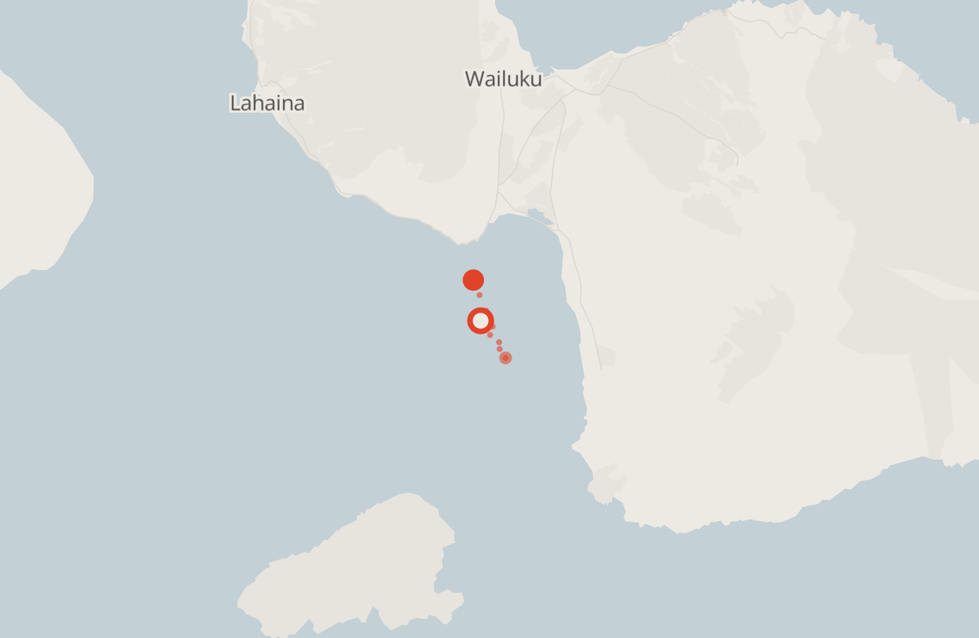 Activity map — real sighting points on an OpenStreetMap basemap