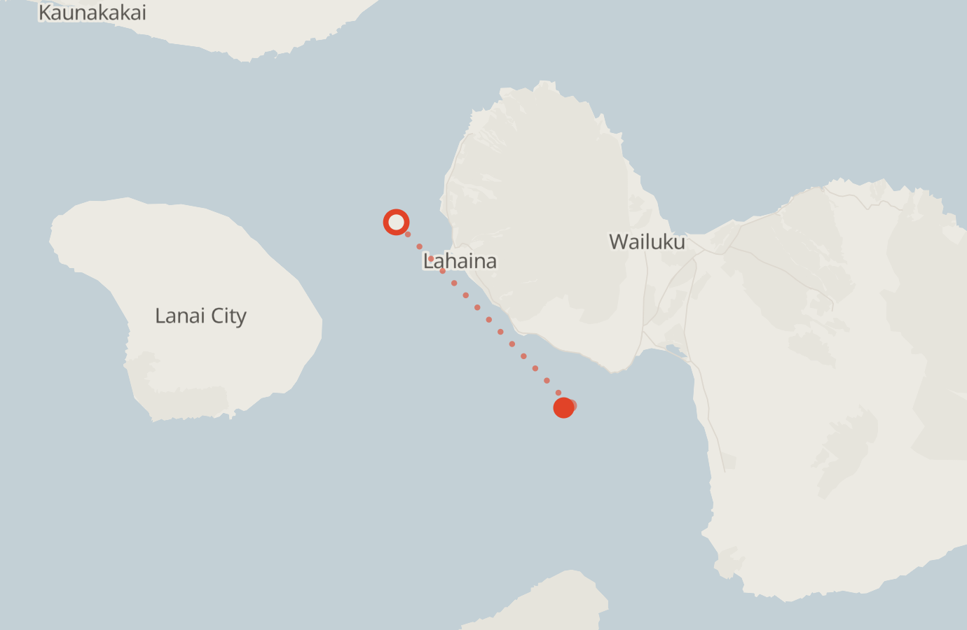 Activity map — real sighting points on an OpenStreetMap basemap