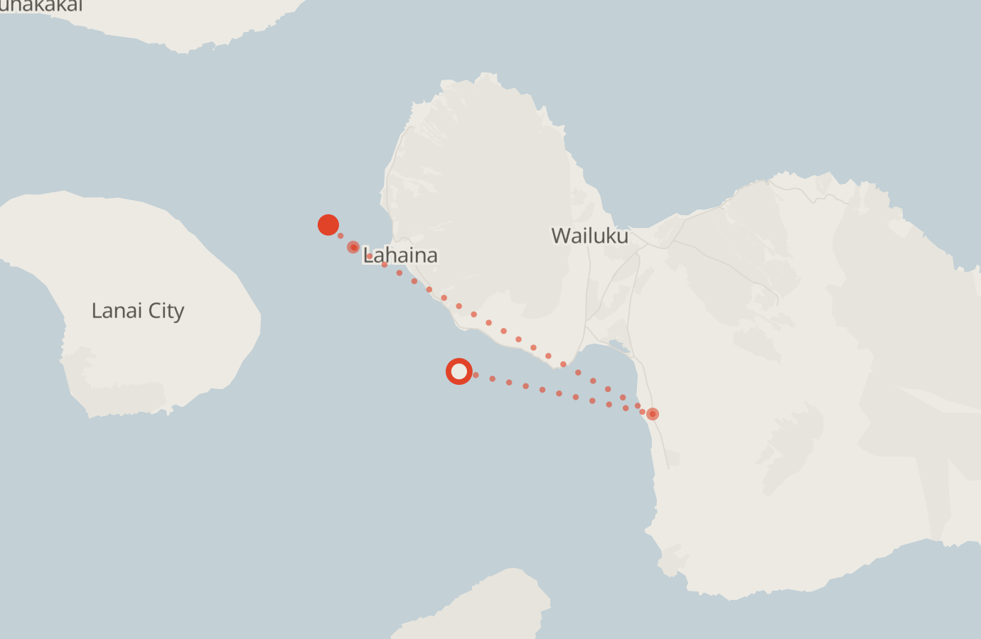 Activity map — real sighting points on an OpenStreetMap basemap
