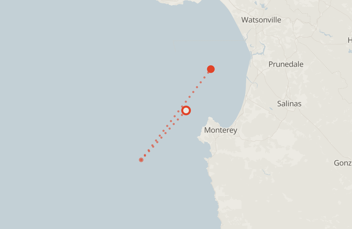 Activity map — real sighting points on an OpenStreetMap basemap