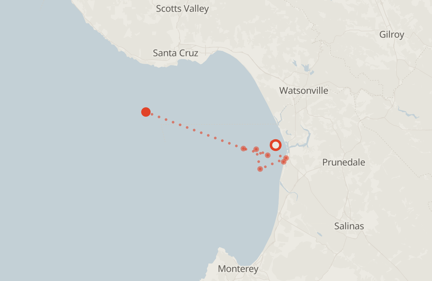 Activity map — real sighting points on an OpenStreetMap basemap