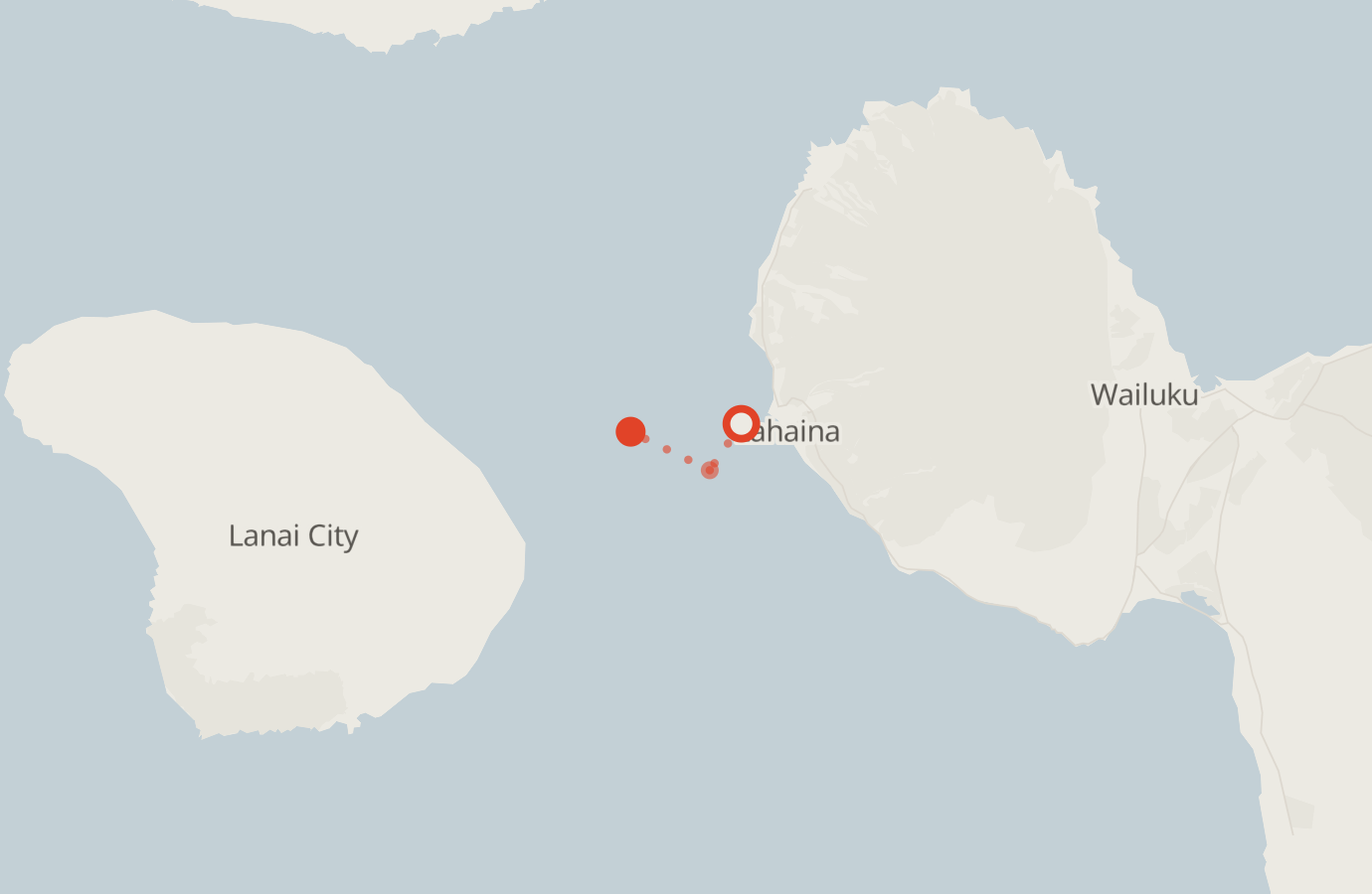 Activity map — real sighting points on an OpenStreetMap basemap