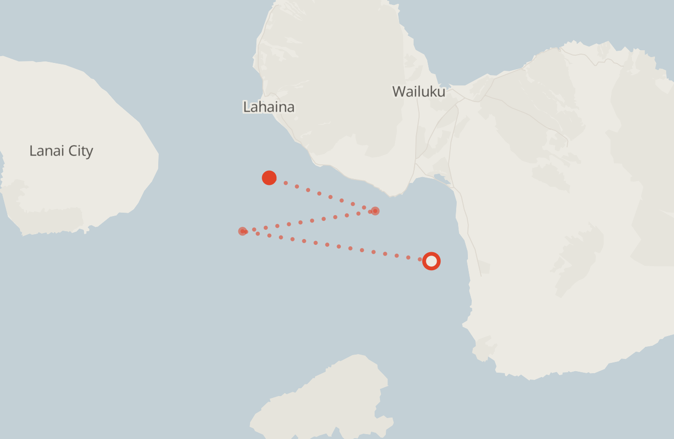 Activity map — real sighting points on an OpenStreetMap basemap