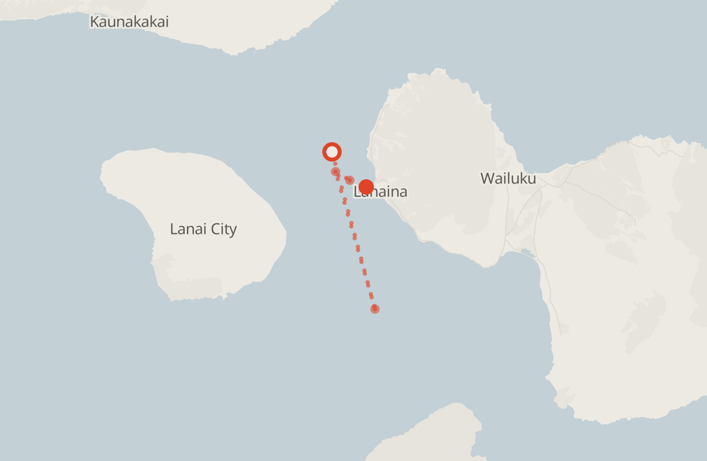 Activity map — real sighting points on an OpenStreetMap basemap