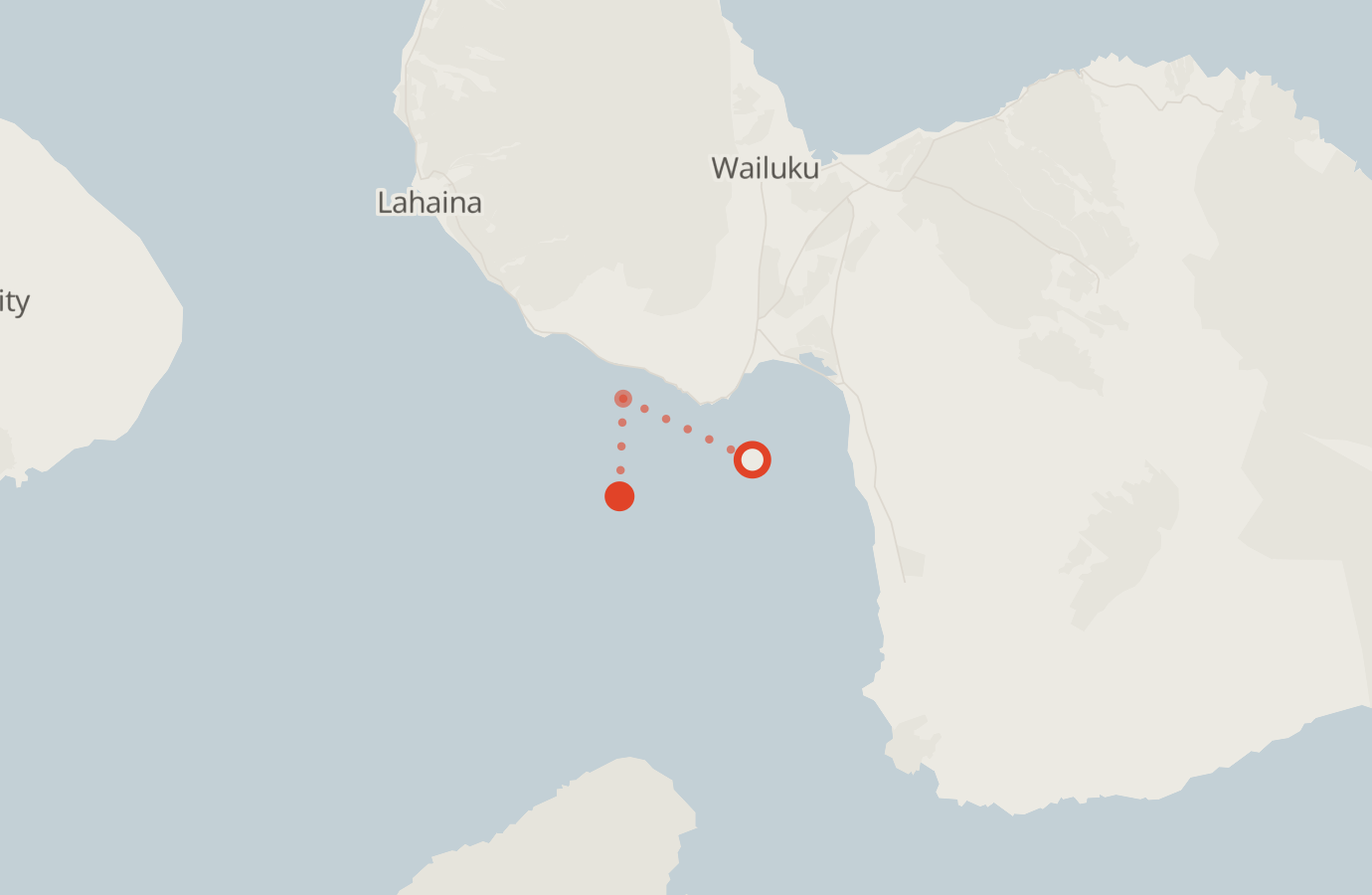 Activity map — real sighting points on an OpenStreetMap basemap