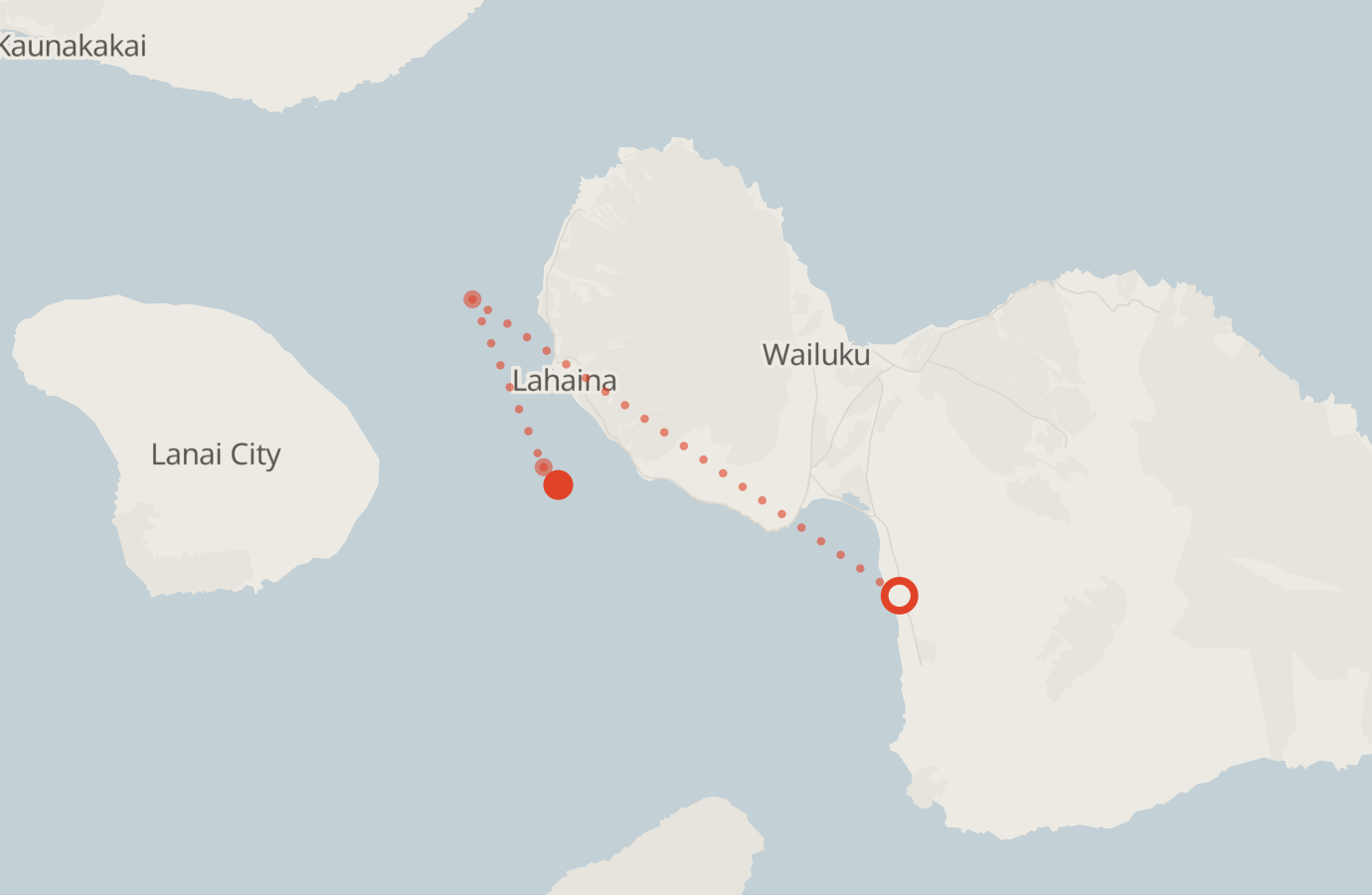 Activity map — real sighting points on an OpenStreetMap basemap