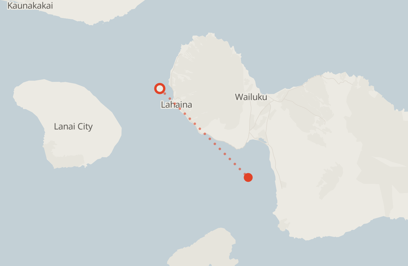 Activity map — real sighting points on an OpenStreetMap basemap
