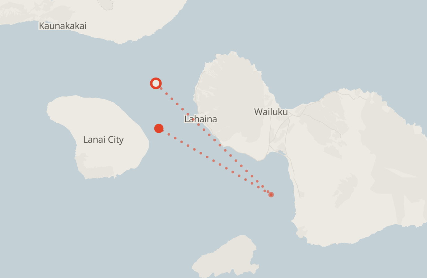 Activity map — real sighting points on an OpenStreetMap basemap