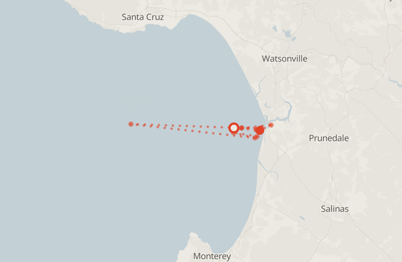 Activity map — real sighting points on an OpenStreetMap basemap