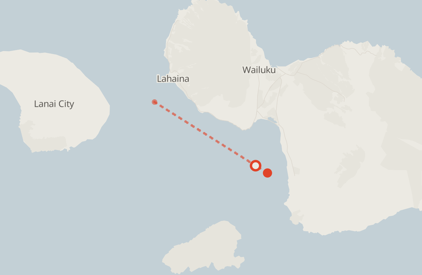 Activity map — real sighting points on an OpenStreetMap basemap