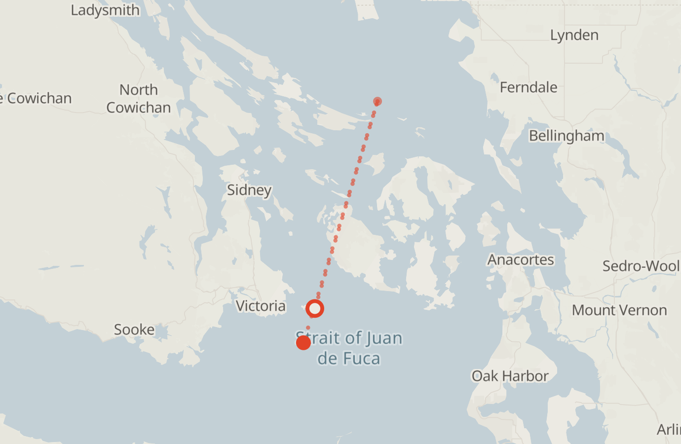 Activity map — real sighting points on an OpenStreetMap basemap