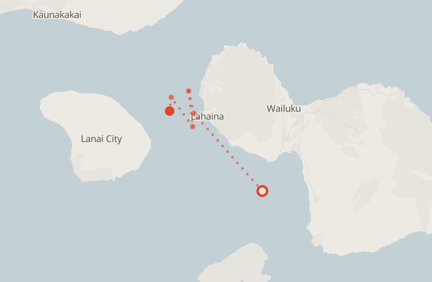 Activity map — real sighting points on an OpenStreetMap basemap