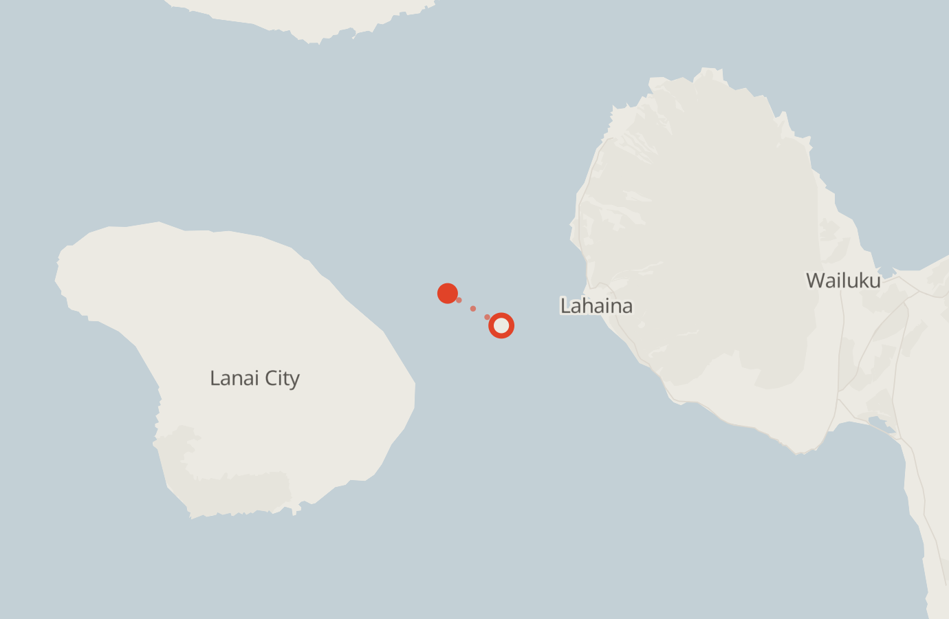 Activity map — real sighting points on an OpenStreetMap basemap
