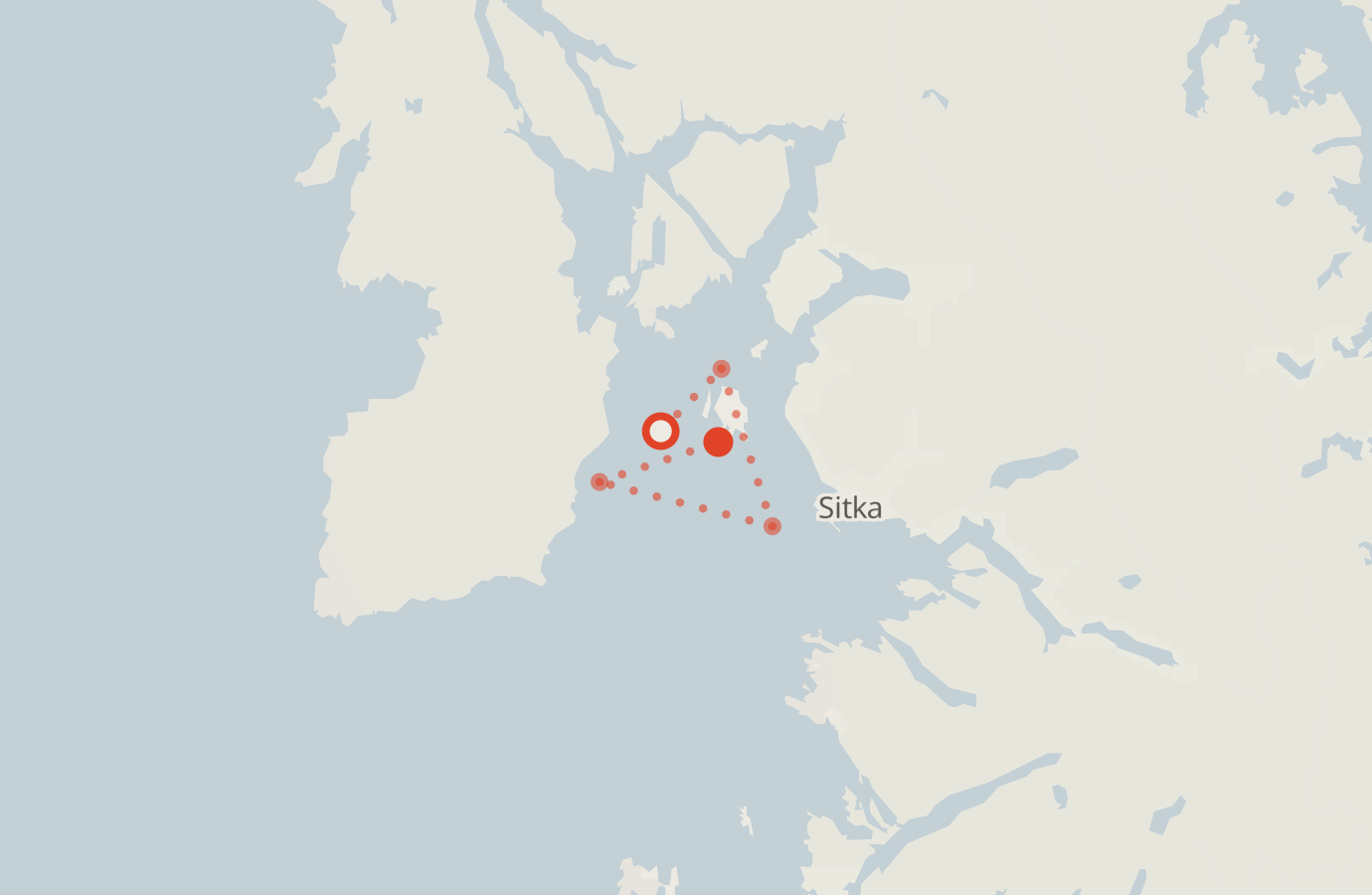 Activity map — real sighting points on an OpenStreetMap basemap
