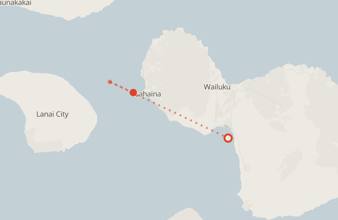 Activity map — real sighting points on an OpenStreetMap basemap