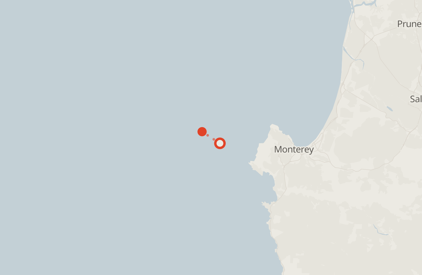 Activity map — real sighting points on an OpenStreetMap basemap