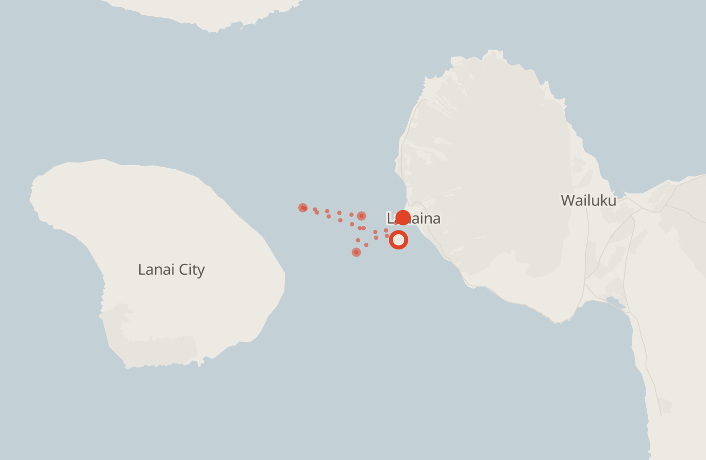 Activity map — real sighting points on an OpenStreetMap basemap