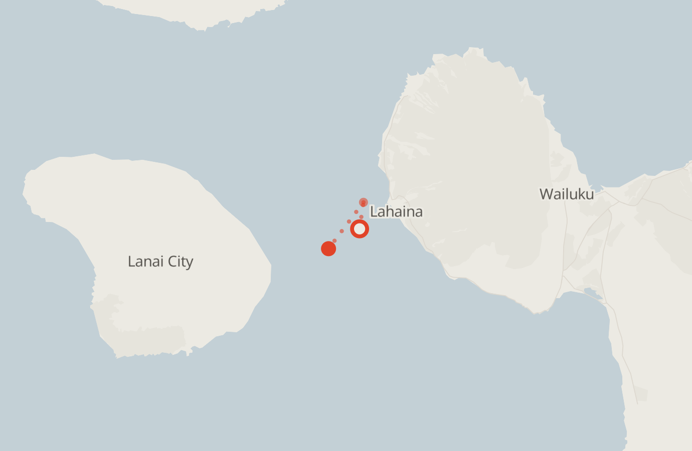 Activity map — real sighting points on an OpenStreetMap basemap