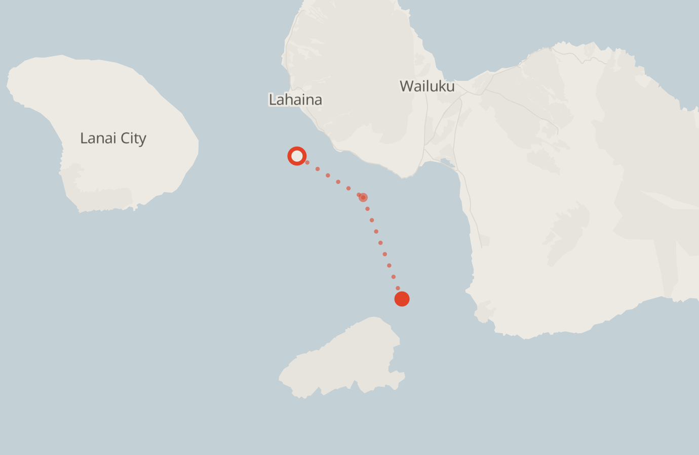 Activity map — real sighting points on an OpenStreetMap basemap