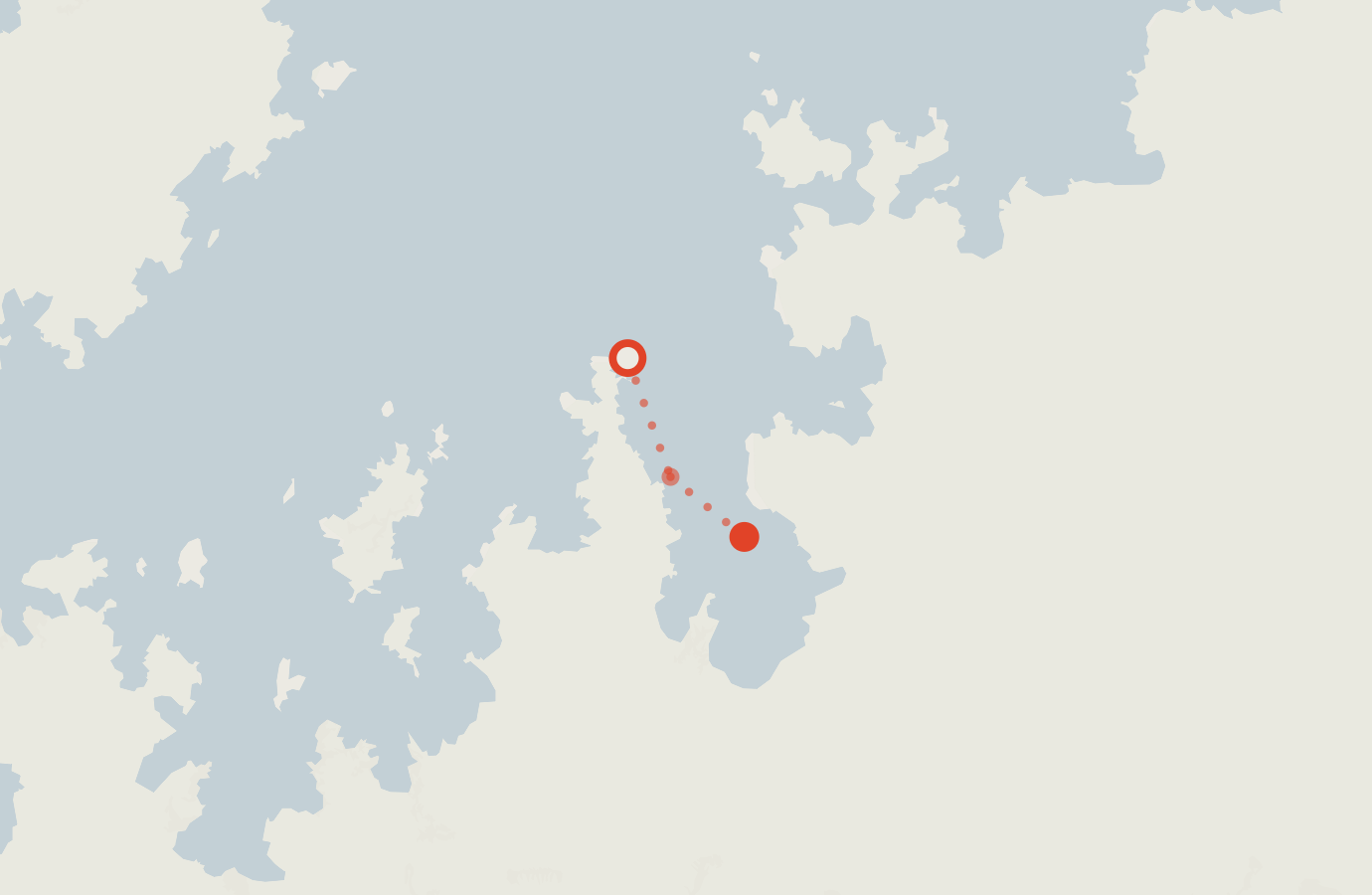 Activity map — real sighting points on an OpenStreetMap basemap
