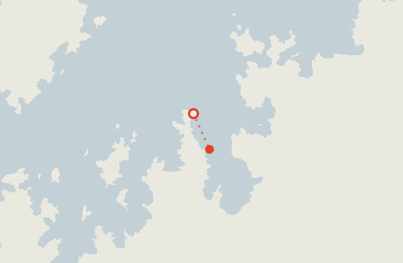 Activity map — real sighting points on an OpenStreetMap basemap