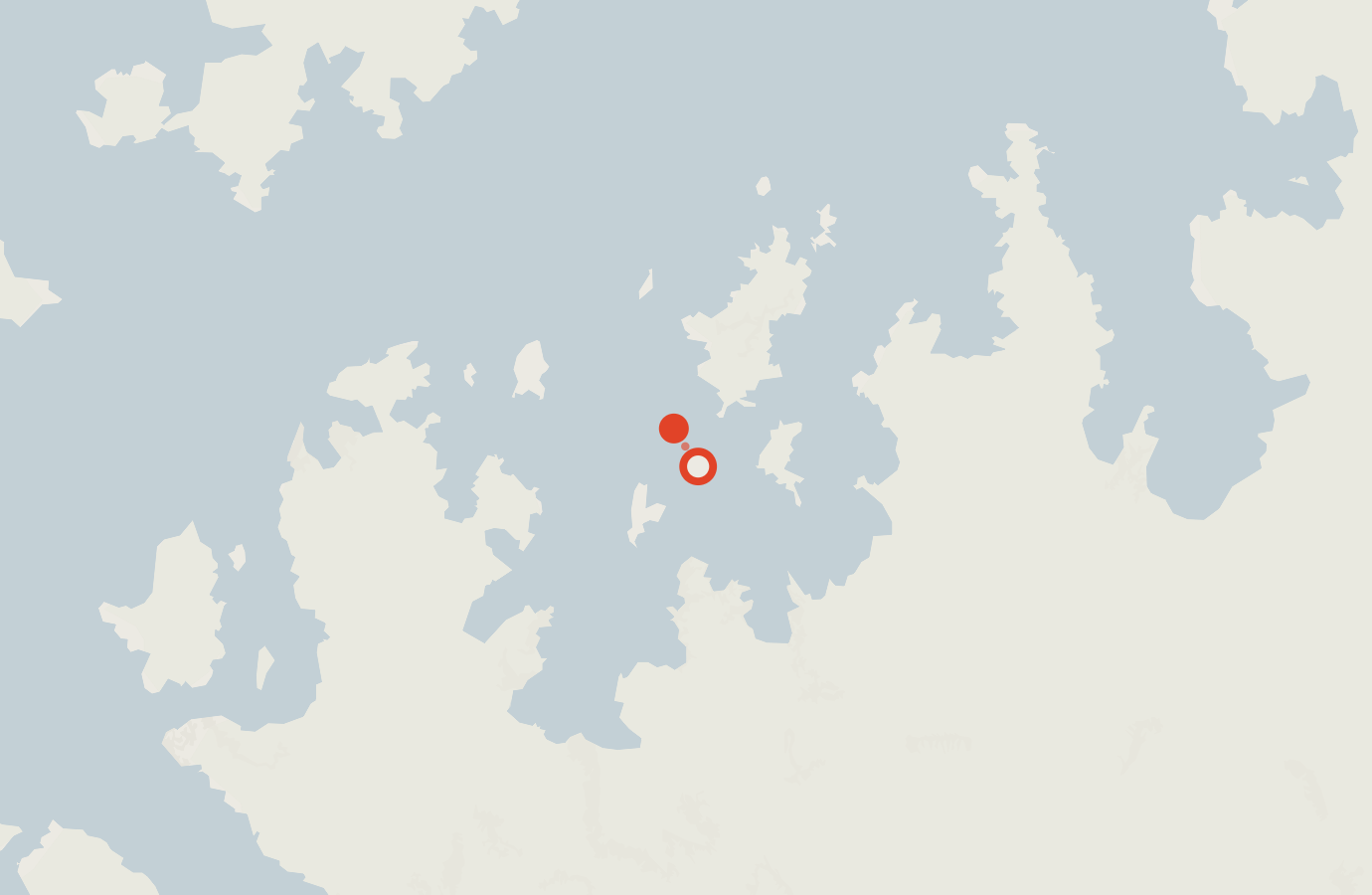 Activity map — real sighting points on an OpenStreetMap basemap