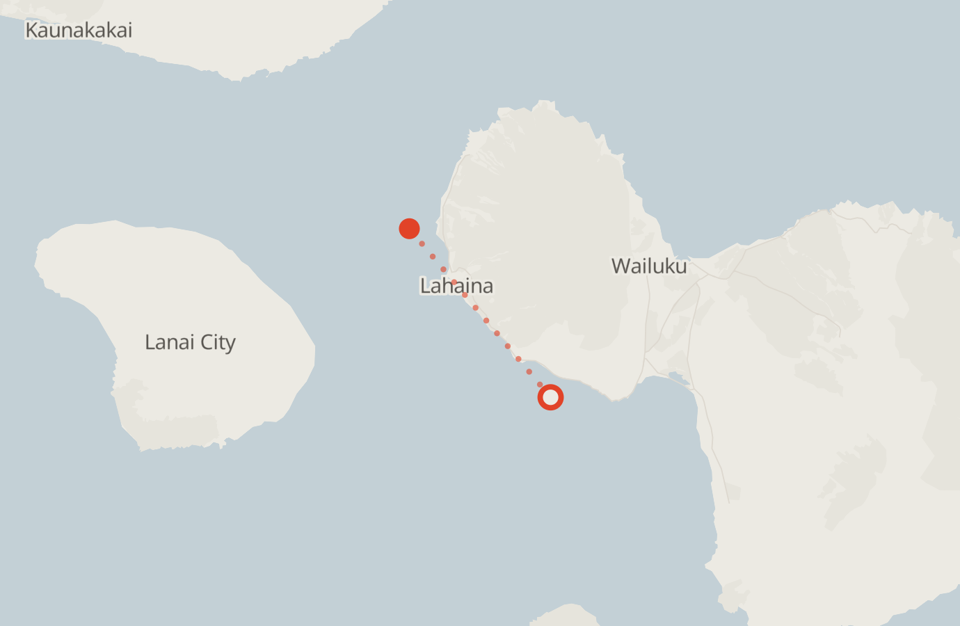 Activity map — real sighting points on an OpenStreetMap basemap