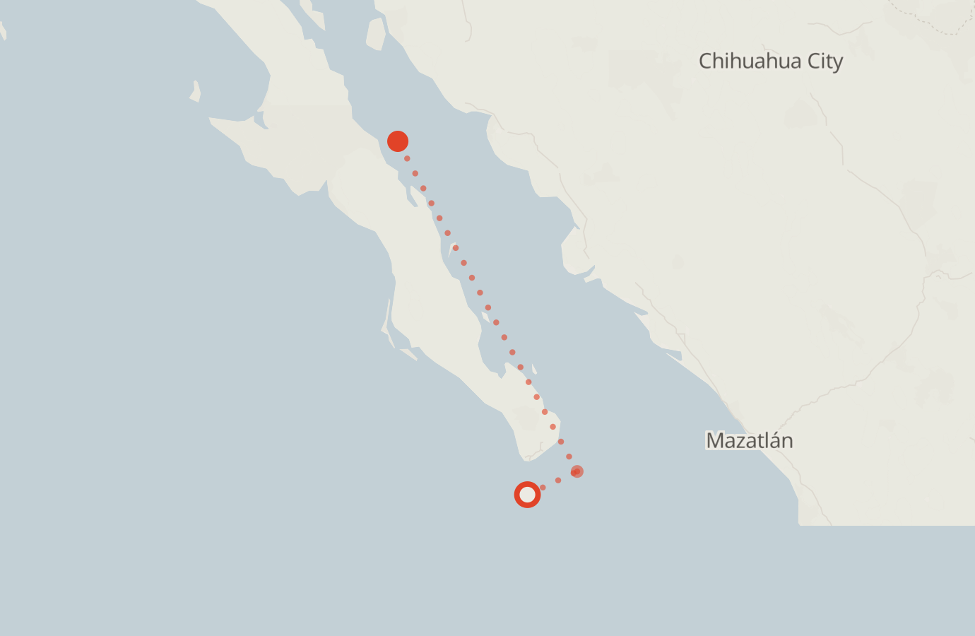 Activity map — real sighting points on an OpenStreetMap basemap