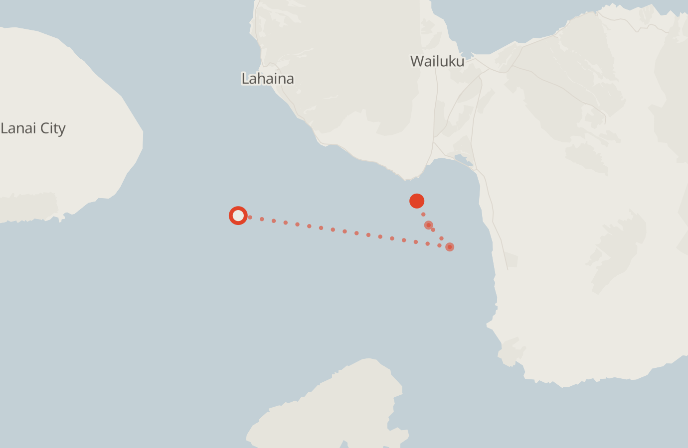 Activity map — real sighting points on an OpenStreetMap basemap