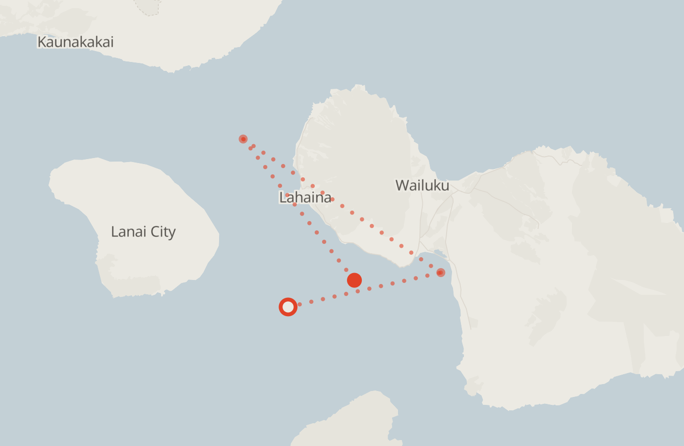 Activity map — real sighting points on an OpenStreetMap basemap