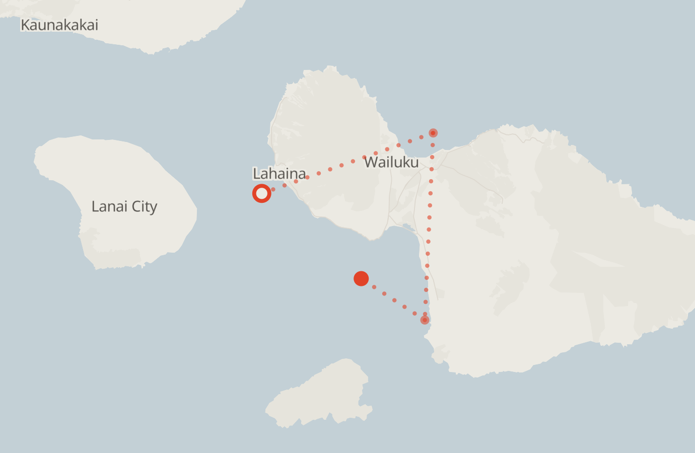 Activity map — real sighting points on an OpenStreetMap basemap