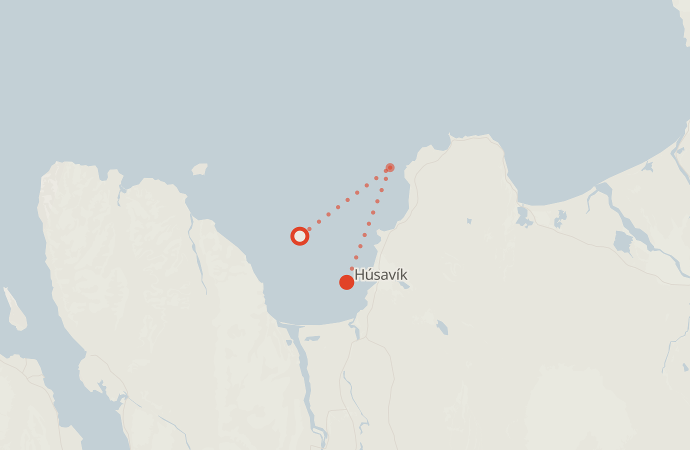 Activity map — real sighting points on an OpenStreetMap basemap