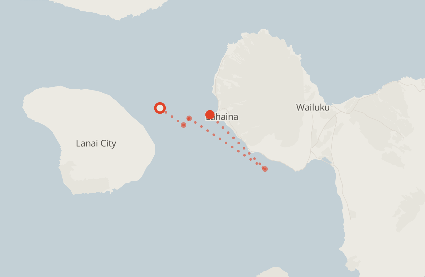 Activity map — real sighting points on an OpenStreetMap basemap