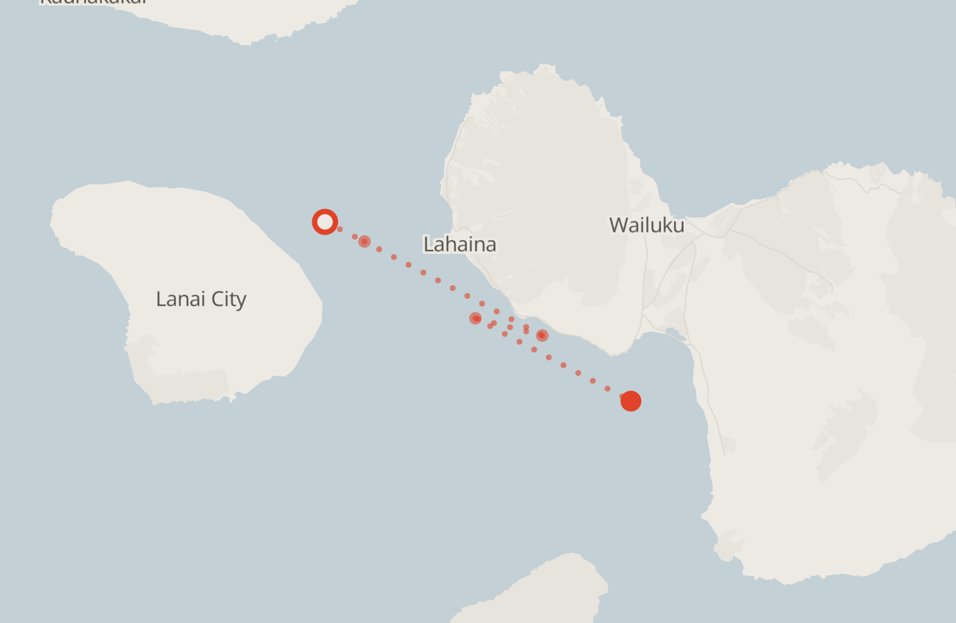 Activity map — real sighting points on an OpenStreetMap basemap