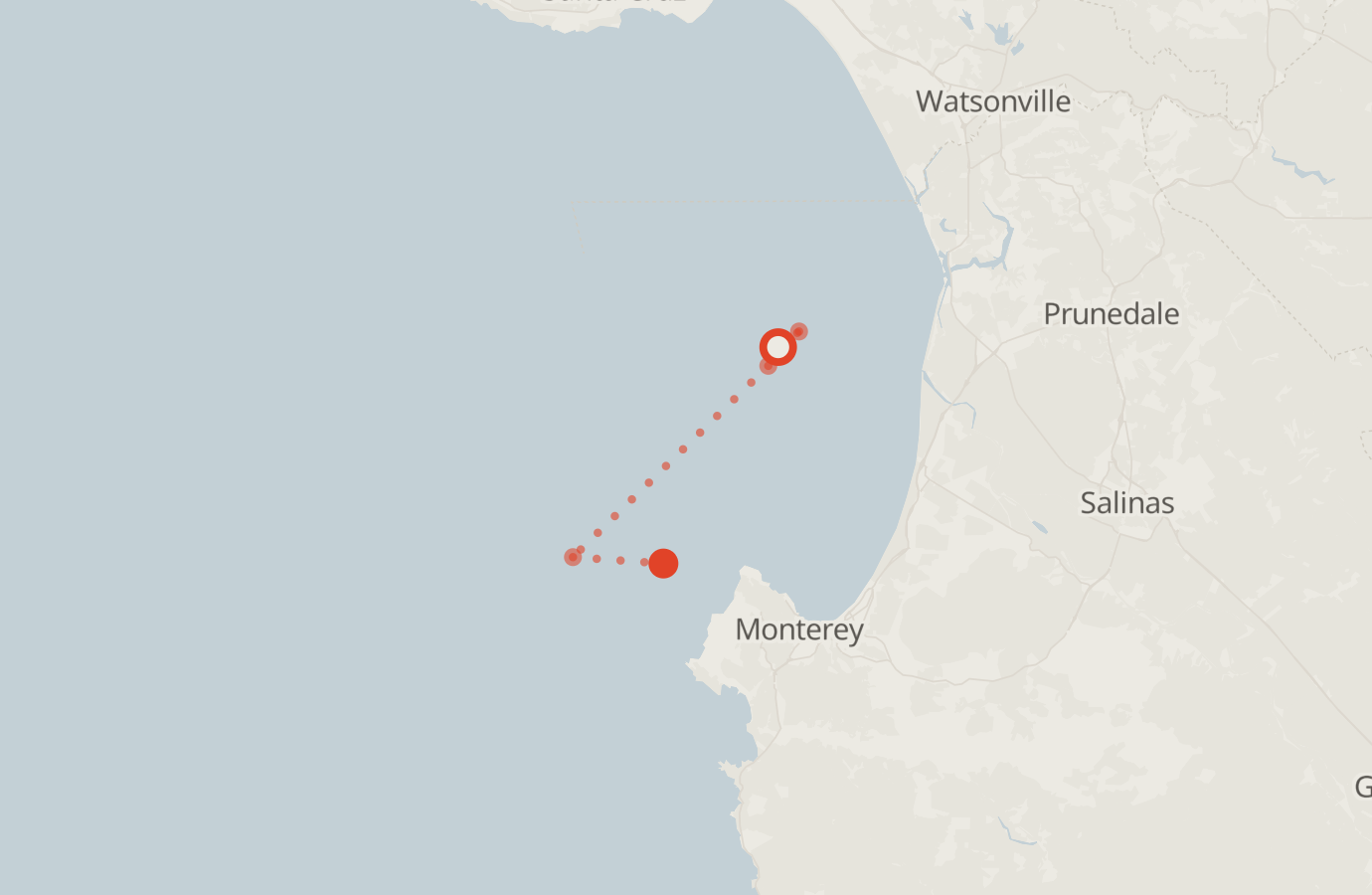 Activity map — real sighting points on an OpenStreetMap basemap