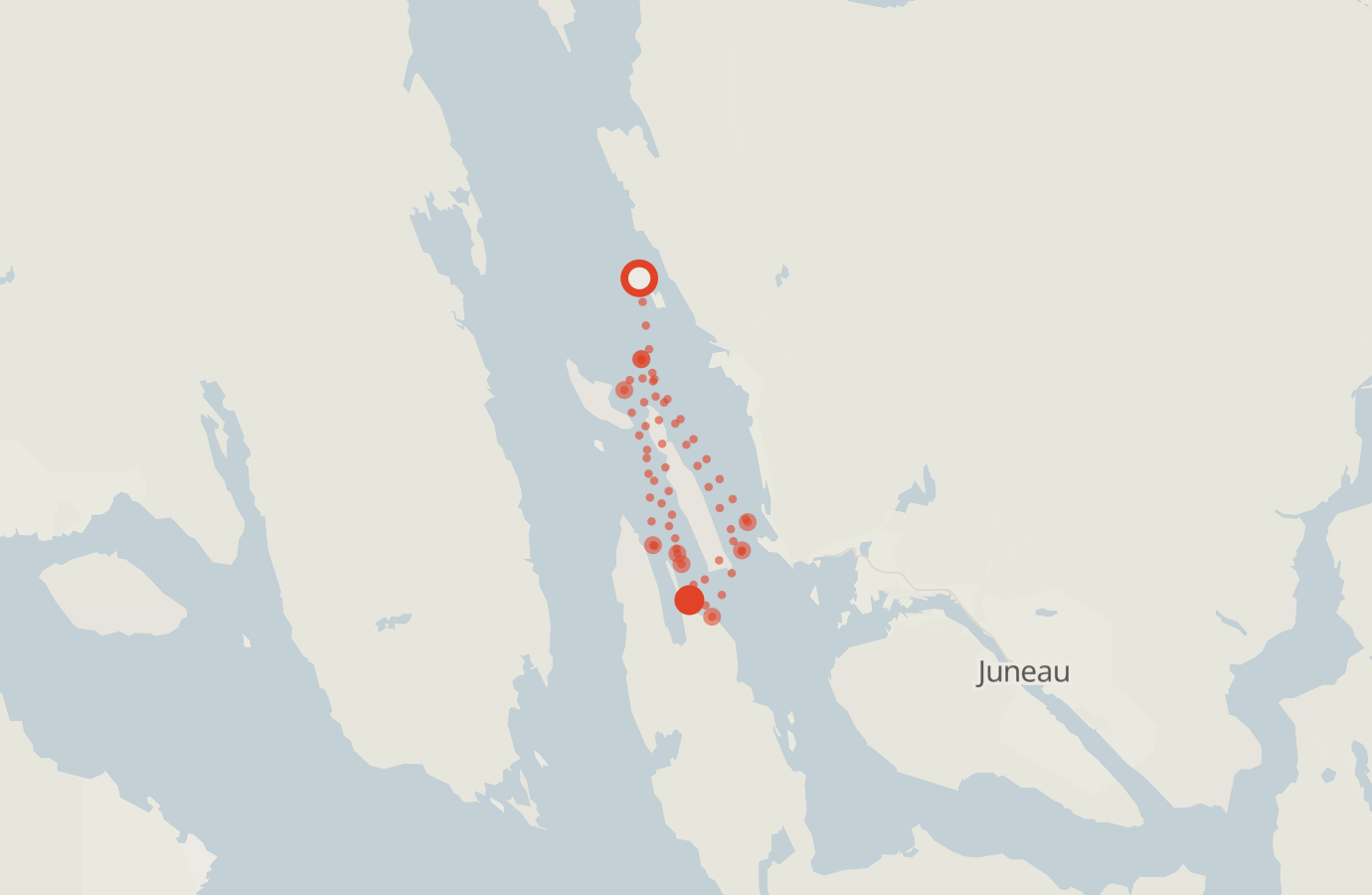 Activity map — real sighting points on an OpenStreetMap basemap