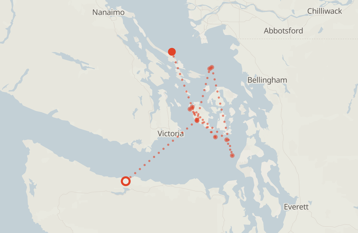 Activity map — real sighting points on an OpenStreetMap basemap