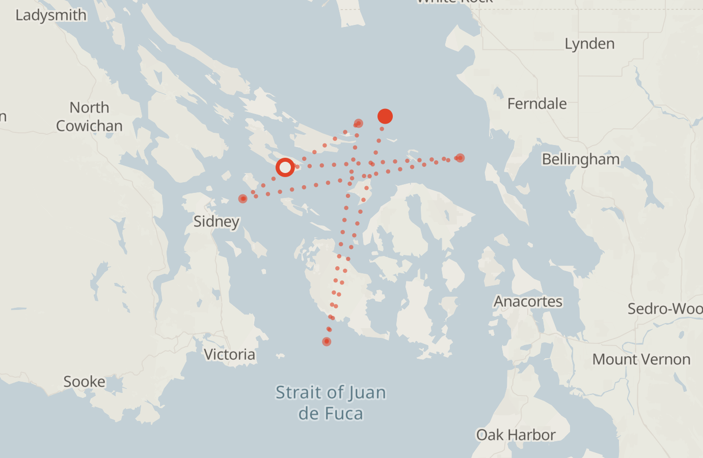 Activity map — real sighting points on an OpenStreetMap basemap