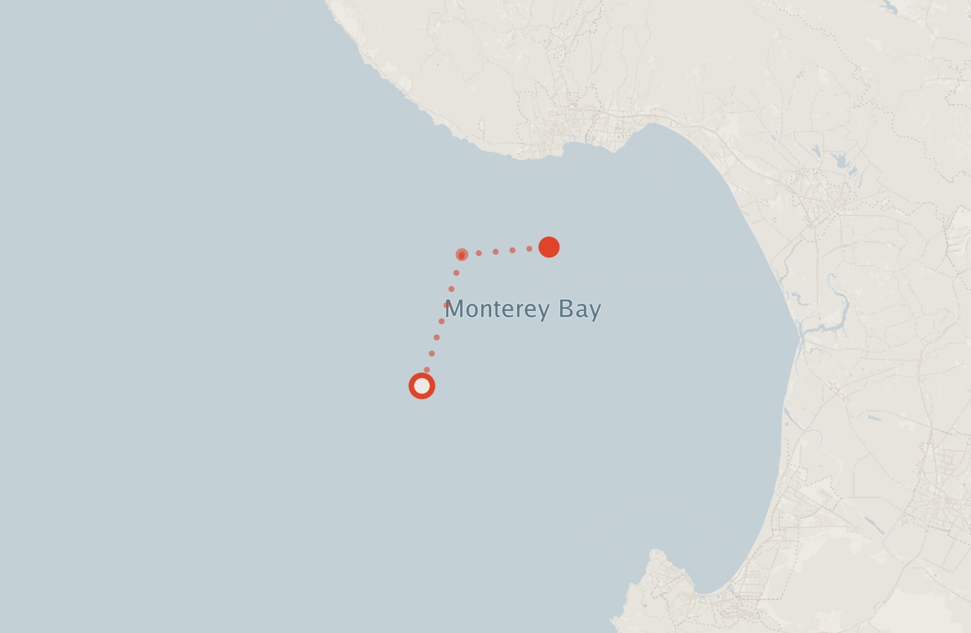 Activity map — real sighting points on an OpenStreetMap basemap
