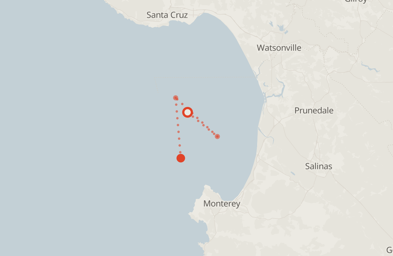 Activity map — real sighting points on an OpenStreetMap basemap