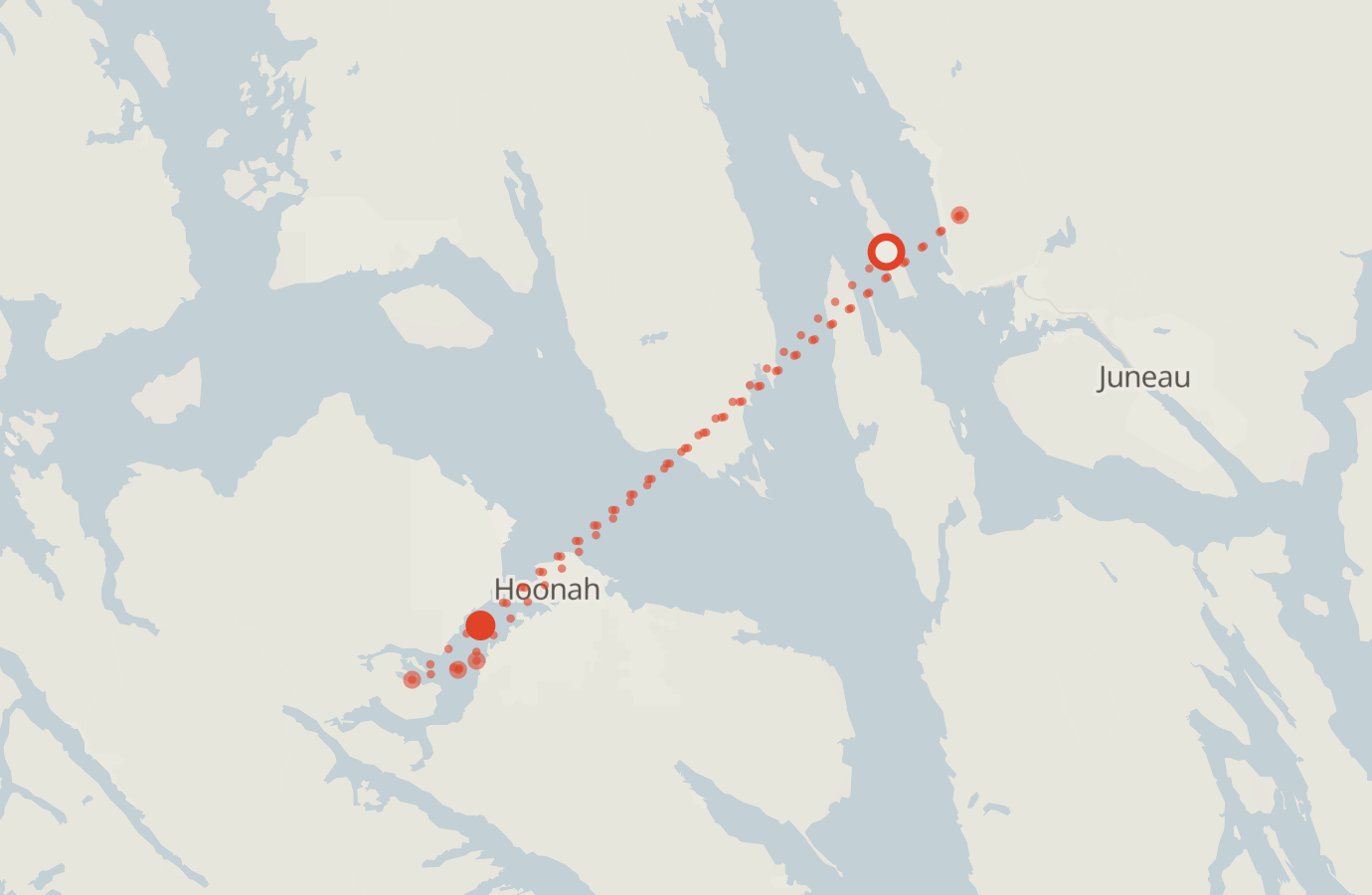 Activity map — real sighting points on an OpenStreetMap basemap