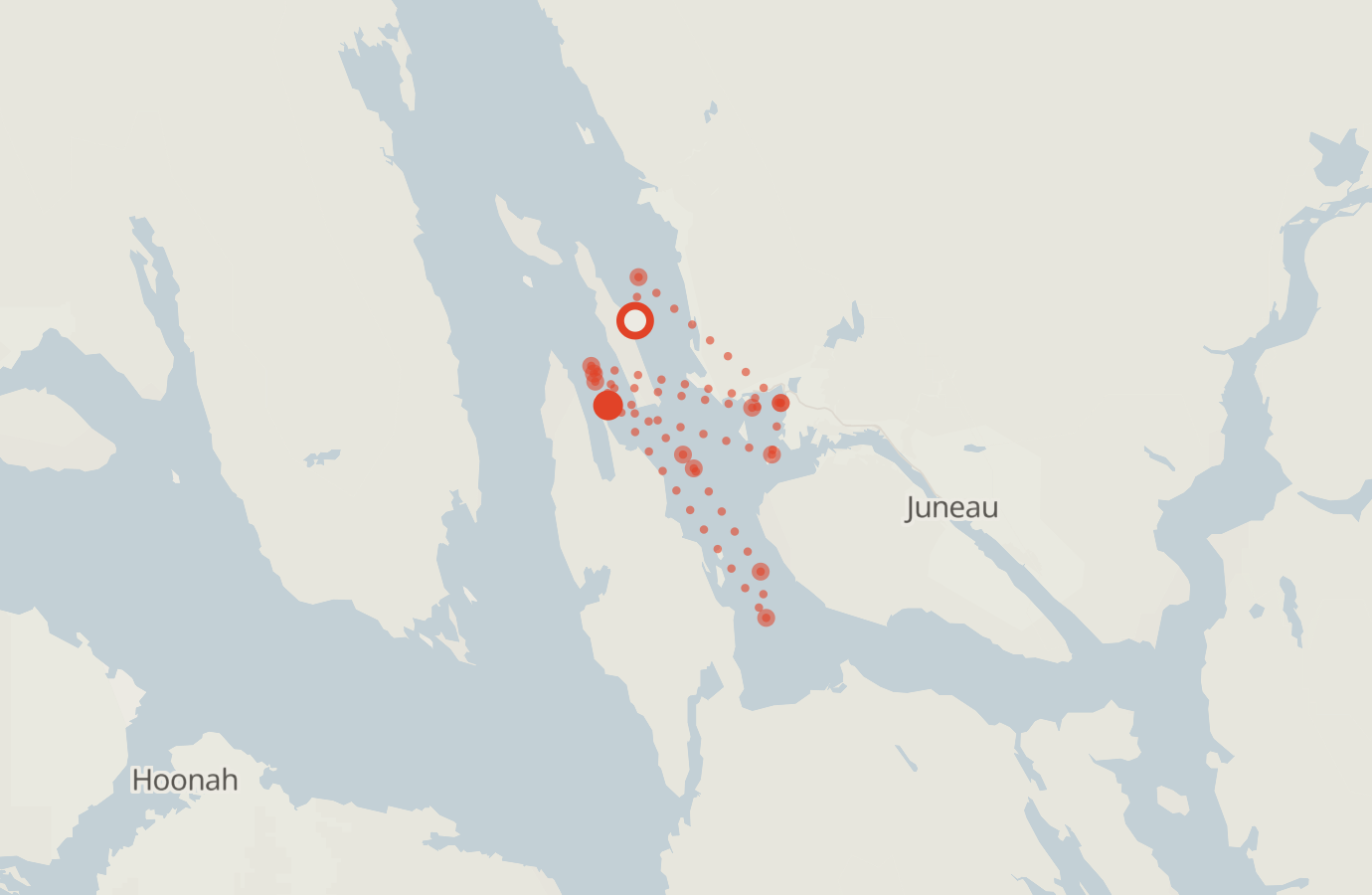 Activity map — real sighting points on an OpenStreetMap basemap