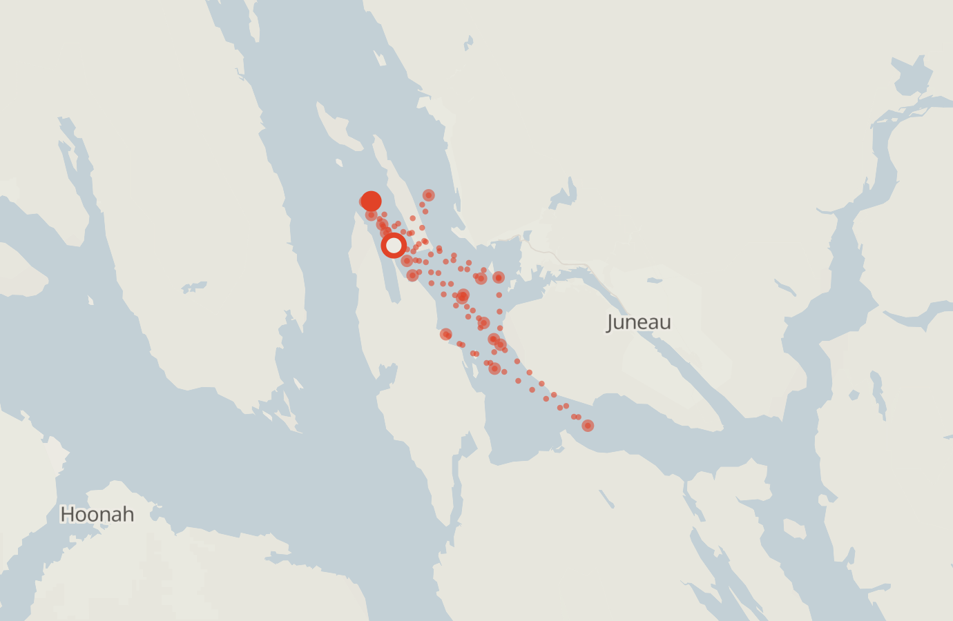 Activity map — real sighting points on an OpenStreetMap basemap