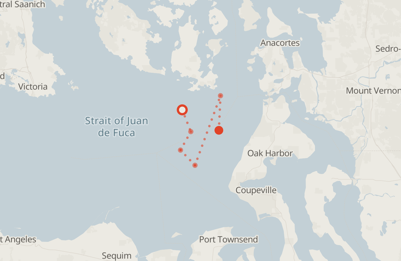 Activity map — real sighting points on an OpenStreetMap basemap